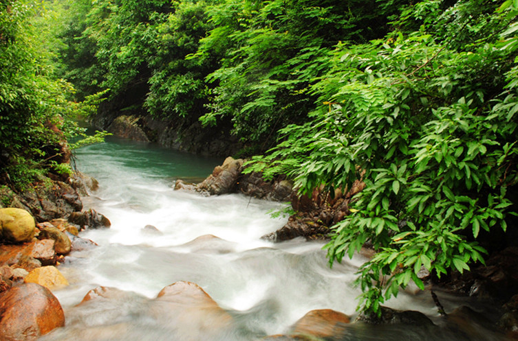 1509335007114180.jpg 4053268_1275208894185_1024x1024it_副本.jpg