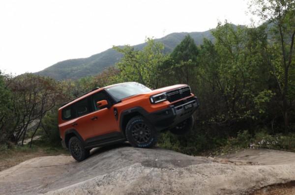 1771228828924594.jpg 6.jpg