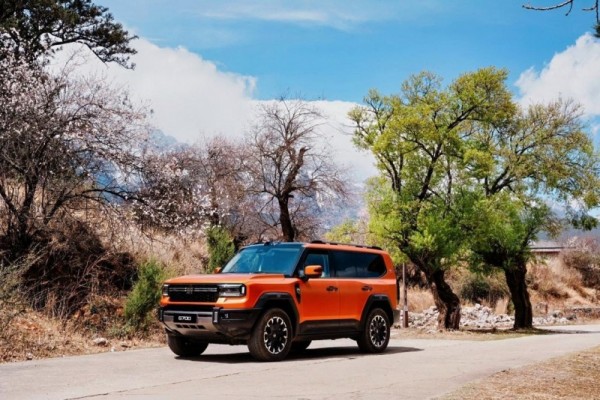 1774581040365731.jpg 4.jpg